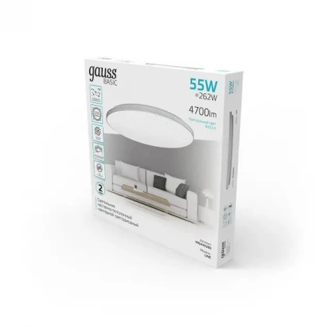 Настенно-потолочный светильник Gauss Basic Space Line 995440260