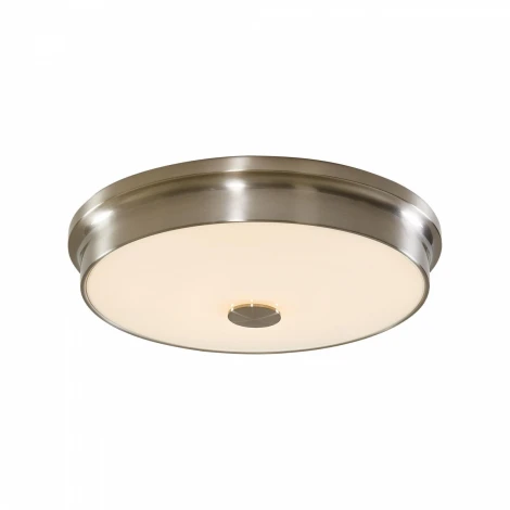 Потолочный светильник Citilux Фостер-2 CL706231