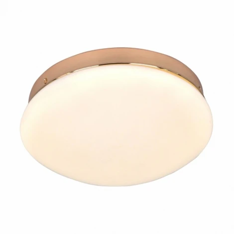 Потолочный светильник F-Promo Ledante 2465-1C