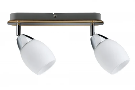 Спот Paulmann Wolba 60073