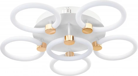 Потолочная люстра светодиодная с ДУ Ritter Ottimo 51639 6