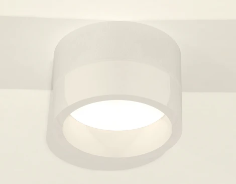 Накладной точечный светильник Ambrella Techno Spot XS8101015 (220V, круглые)