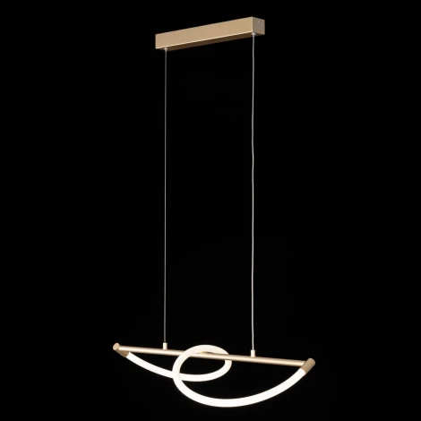 Подвесной светильник с гибким неоном Citilux Eva CL210112 (LED, 220V, на проводе)