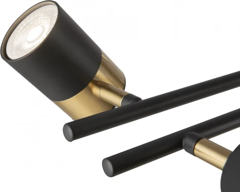 Потолочная люстра на штанге Freya Enzo FR5201PL-10B (220V)