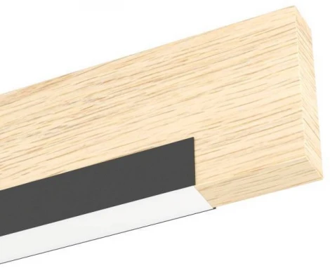 Настенный светильник светодиодный Eglo Camacho 901738