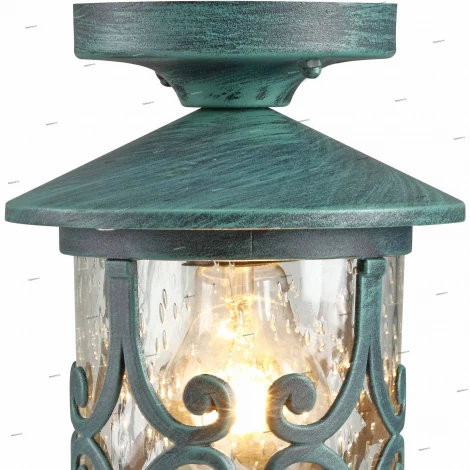 Потолочный светильник уличный Arte Lamp Persia A1453PF-1BG