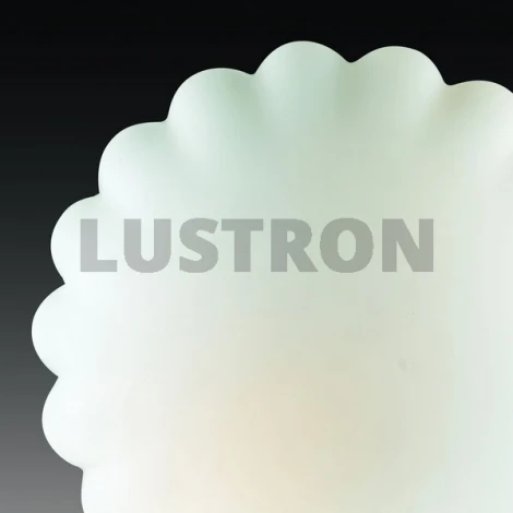 Настенно-потолочный светильник ST Luce SL505 SL505.502.02