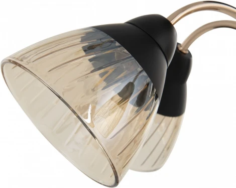 Потолочная люстра на штанге Arte Milano Napoli 320119/3 FG+BK (220V)