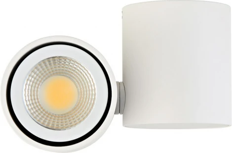 Накладной светильник Donolux Eva A1594White/RAL9003 (220V, круглые)