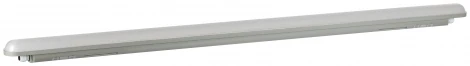 Линейный светильник светодиодный ЭРА SPP-2 SPP-202-0-40K-L48