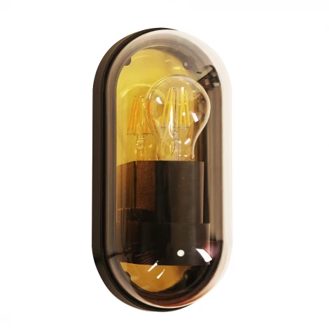 Настенный уличный светильник Arte Lamp A2481AL-1GO (220V, IP65)