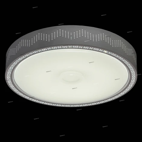 Потолочный светильник MW-Light Ривз 674012001