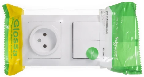 Розетка встраиваемая без заземления с двухклавишным выключателем (белый) Systeme Electric GSL000172