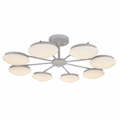 Потолочная люстра F-Promo Ledante 2475-8P