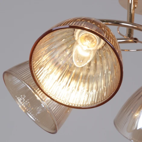 Подвесная люстра на штанге Reluce 02560-0.3-05 FG