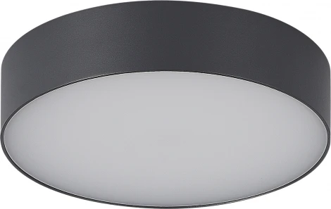Потолочный уличный светильник ST-Luce Sun SL9518.702.01 серый/белый LED 1*20W (220V, круглые, IP65)