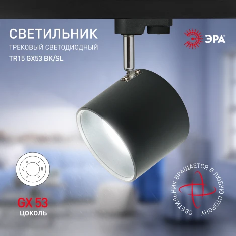 Трековый светильник ЭРА TR15 GX53 BK/SL (220V)