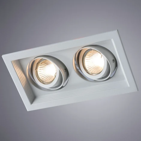Встраиваемый точечный светильник Arte Lamp Canis A6661PL-2WH (220V)