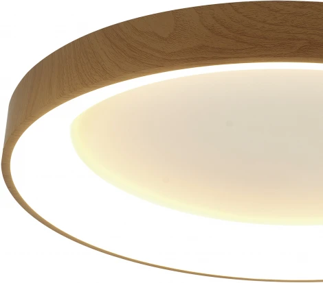 Потолочный светильник круглый Mantra Niseko 8643 (регулировка яркости, LED, 220V, пульт управления, круглые)