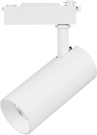 Трековый светильник Lightstar Fuoco 218236 (LED, 220V, круглые)