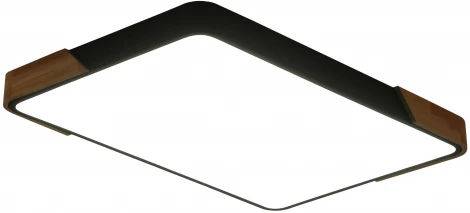 Потолочный светильник Zortes Alberro ZRS.01244.60 (LED, 220V)