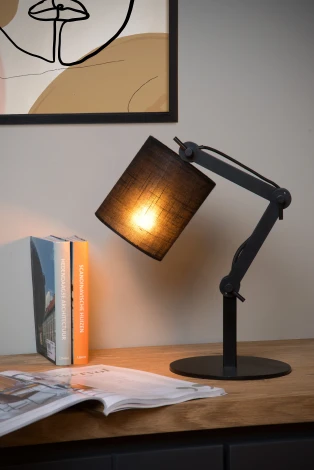 Интерьерная настольная лампа с выключателем Tampa 45592/81/30 (220V)