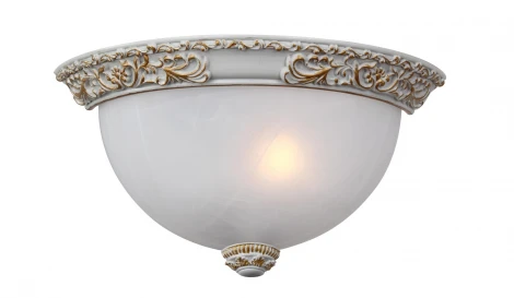 Настенный светильник Favourite Plafond 1446-1W