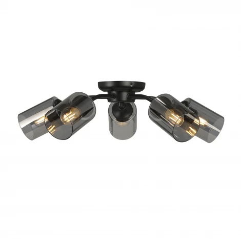 Потолочная люстра Vitaluce V2558-1/5PL