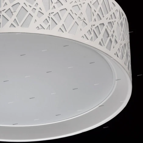 Потолочный светильник DeMarkt Ривз 674012501