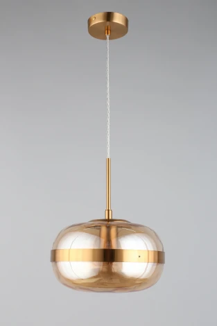 Подвесной светильник Aployt Gabriela APL.305.16.01 (220V, на проводе, шар)