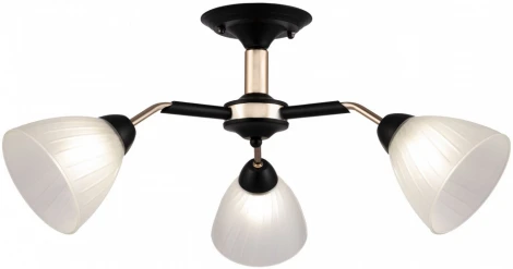 Потолочная люстра на штанге Arte Milano Napoli 324108/3 BK+FG (220V)