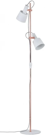 Торшер Paulmann Haldar  79660