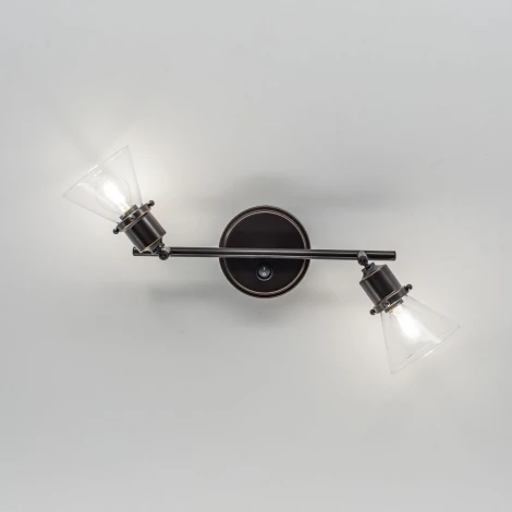 Спот Citilux Бисмарк CL564521