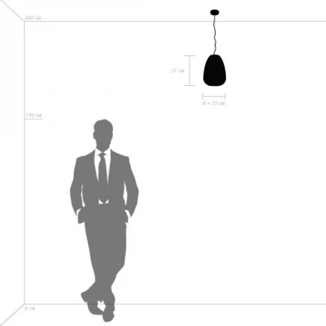 Подвесной светильник Lightstar Arnia 805012 (220V, на тросе)