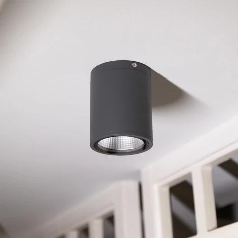 Потолочный светильник уличный светодиодный IP65 Natural Concepts Dwell NC-033072-DG (220V, круглые)