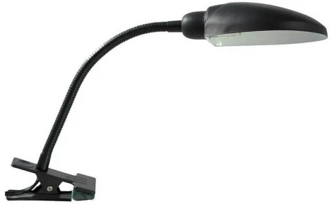 Офисная настольная лампа Lussole Loft Roma GRLST-4214-01