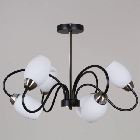 Потолочная люстра на штанге Reluce 01270-0.3-06B BK+AB