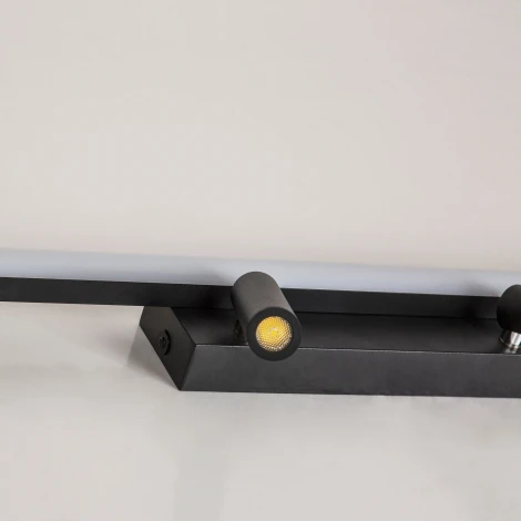 Настенно-потолочный светильник Favourite Reticenza 4089-2C (LED, 220V, пульт управления, для чтения)