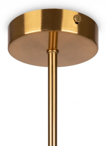 Потолочная люстра на штанге Freya Inversion FR5233PL-13BS