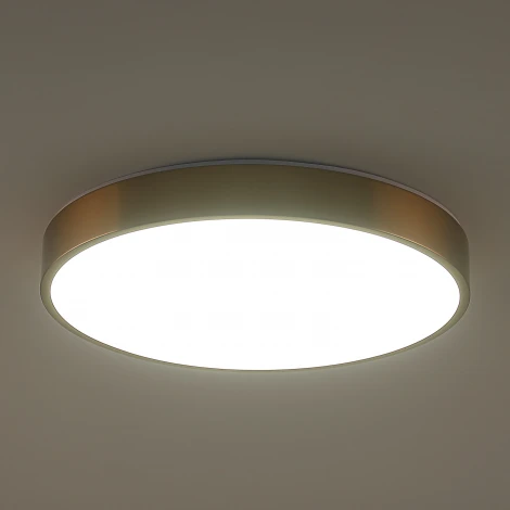 Потолочный светильник светодиодный Zortes Tortty ZRS.02566.72