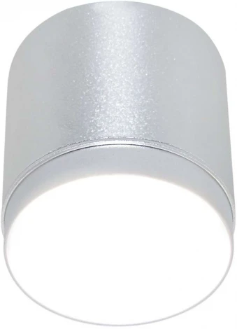 Потолочный светильник Maytoni Polar C088CL-GX53-S GX53 1x15W (220V, круглые)