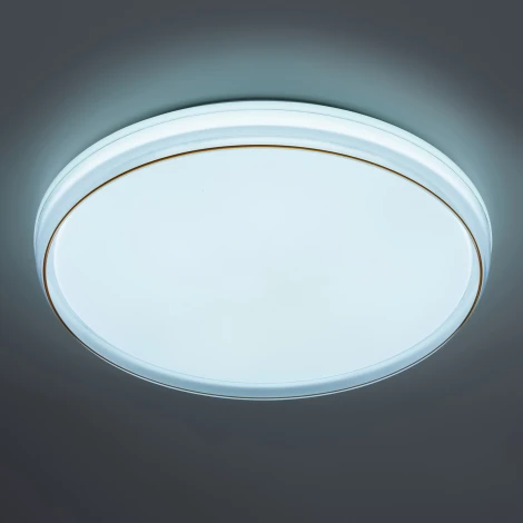 Потолочный светильник круглый светодиодный с пультом регулировкой цветовой температуры и яркости ЭРА SPB-6-80-RC Solar RGBD (220V, круглые)