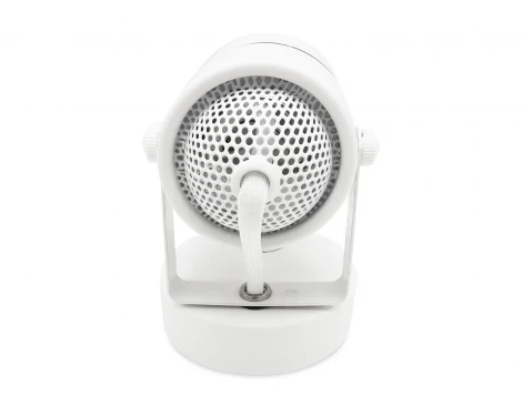 Спот Ambrella Techno Spot TA100 (220V, выключатель, круглые)