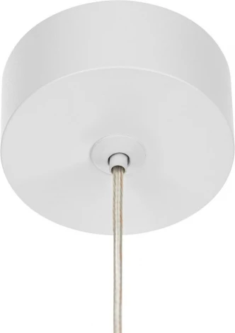 Подвесной светильник Citilux Bruno CL565010 (220V, на проводе, круглые)