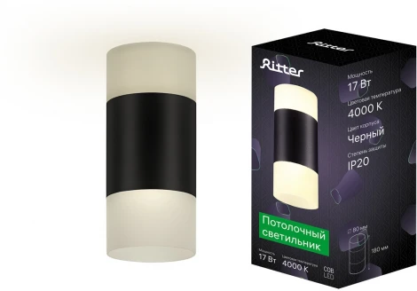 Накладной светильник Ritter Kassel 52066 5