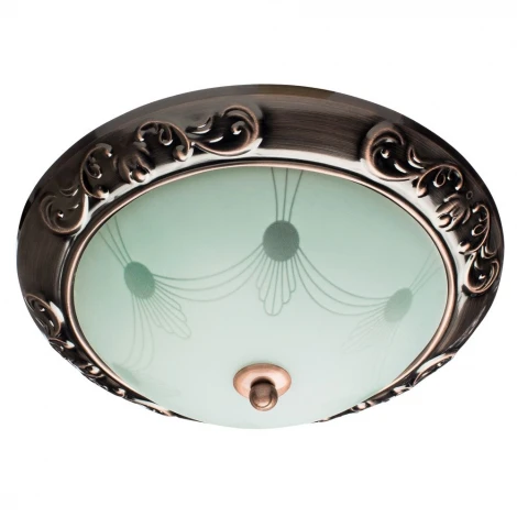 Потолочный светильник Arte Lamp Alta A3014PL-2AC
