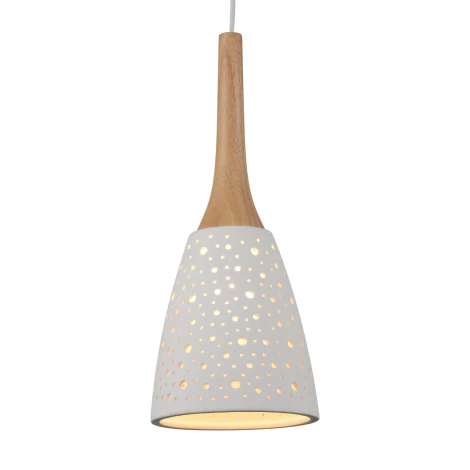 Подвесной светильник ST Luce Clemenza SL288.503.01