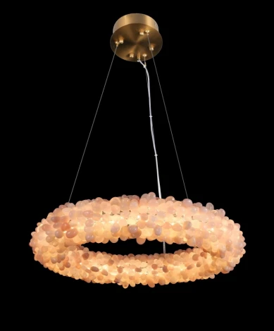 Подвесная люстра светодиодная Fluorite Eternity FL1155-5P (220V, кольцо)