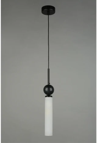 Подвесной светильник Aployt Gienia APL.339.06.01 (220V, на проводе, круглые)