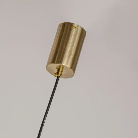 Подвесной светильник Firmato 4061-1P (LED, 220V, на тросе)